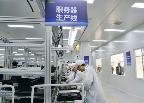 黑马河南 这一年，不平凡的网络技术服务征程